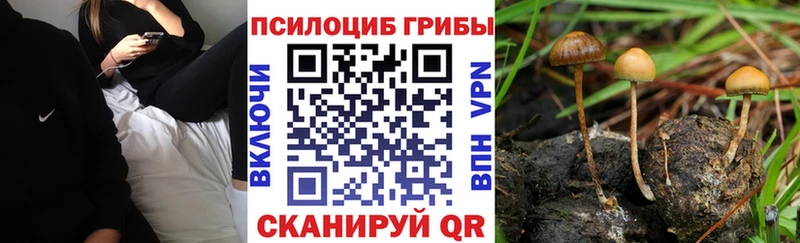 Галлюциногенные грибы ЛСД  Купить  Сыктывкар 